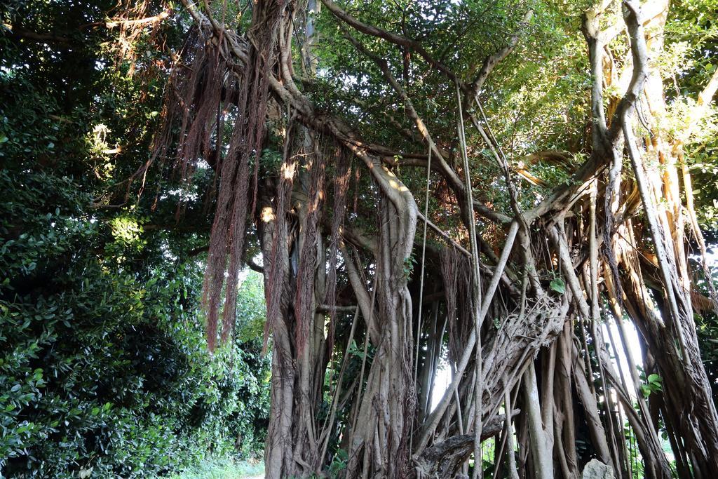 Tabinoteitaku Okinawa Bise Homann Concept Villa Motobu Dış mekan fotoğraf